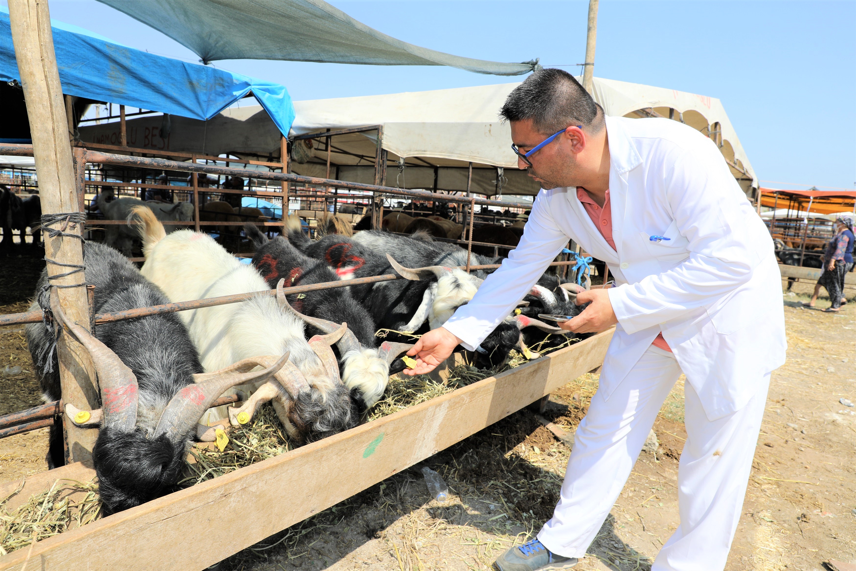 YÜREĞİR’DE KURBAN SATIŞ VE KESİM YERLERİ BELİRLENDİ