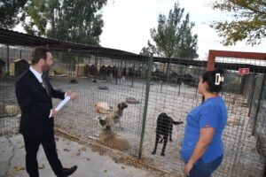 Kadir Aydar’dan Hayvan Barınağı İddialarına Canlı Yayınlı Cevap