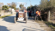 ﻿Yumurtalık’ta tatlı bir temizlik telaşı var